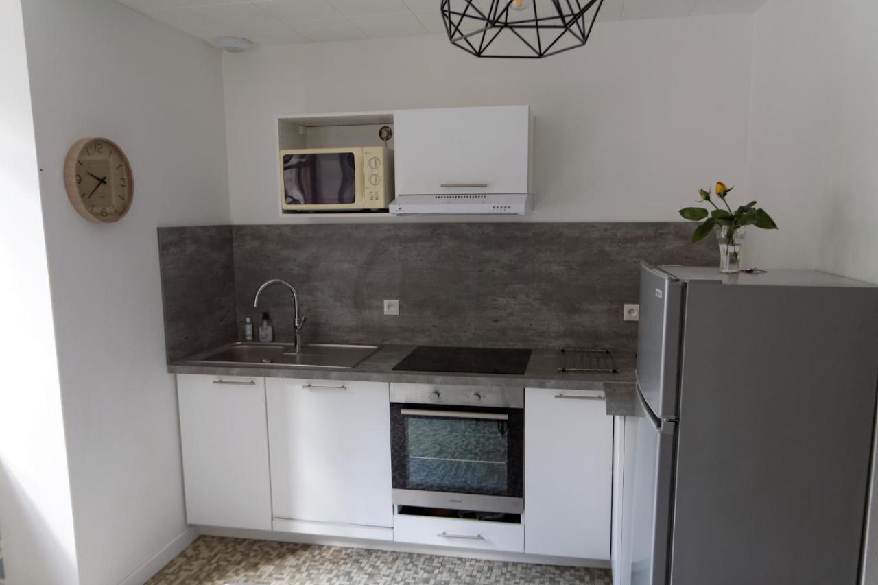 Villa Jean Julien - Le Sancy - Appartement T3 - 65M2 - 8 Personnes Le Mont-Dore Exterior photo