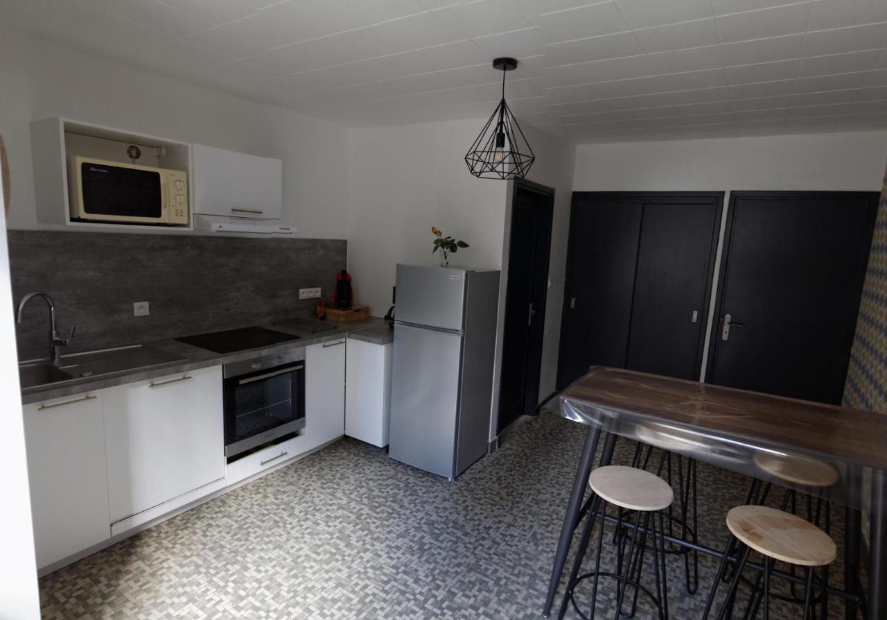 Villa Jean Julien - Le Sancy - Appartement T3 - 65M2 - 8 Personnes Le Mont-Dore Exterior photo